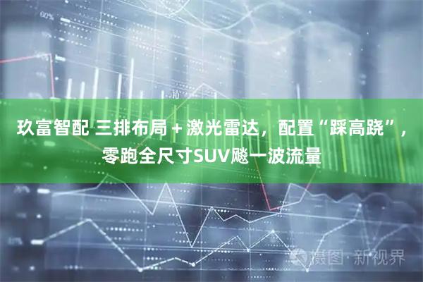 玖富智配 三排布局＋激光雷达，配置“踩高跷”，零跑全尺寸SUV飚一波流量