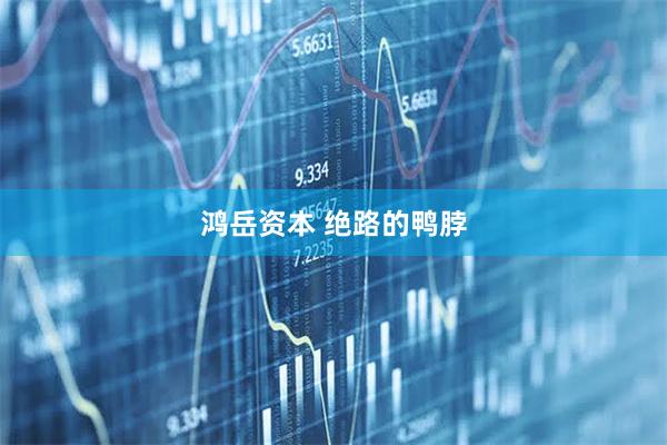 鸿岳资本 绝路的鸭脖